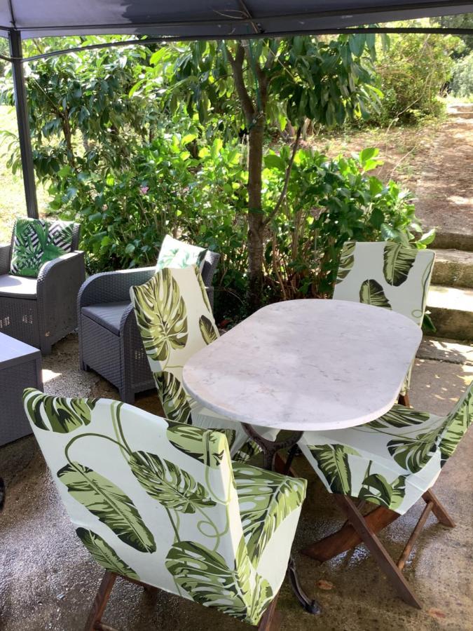 Charmant Appartement 2 Pieces Eccica-Suarella  Luaran gambar