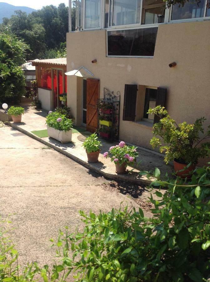 Charmant Appartement 2 Pieces Eccica-Suarella  Luaran gambar